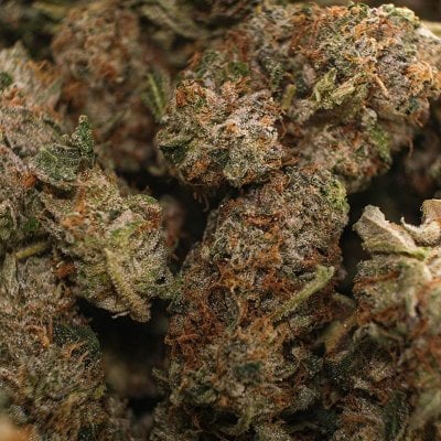 Pink Bubba strain - pure indica