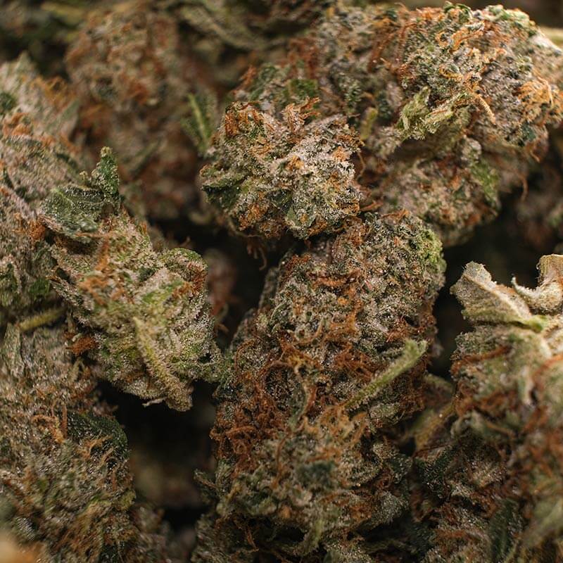 Pink Bubba strain - pure indica