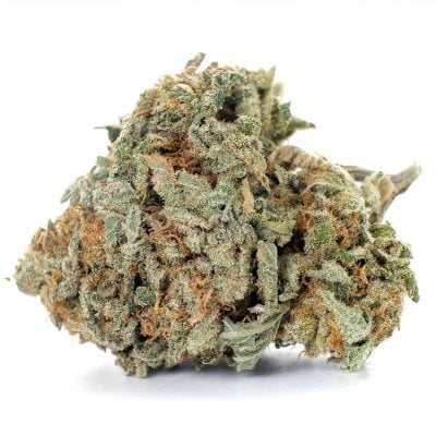 Gorilla Glue #4 strain - Indica Dominant Hybrid