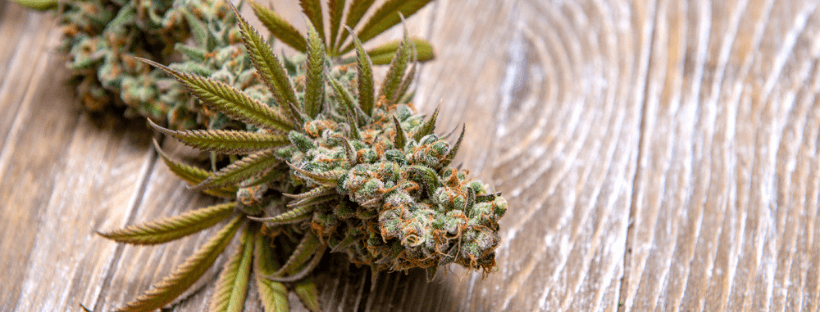 Boiling Point of All Cannabinoids and Terpenes