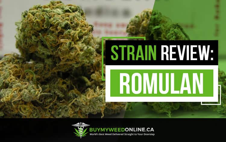 Strain Review Romulan