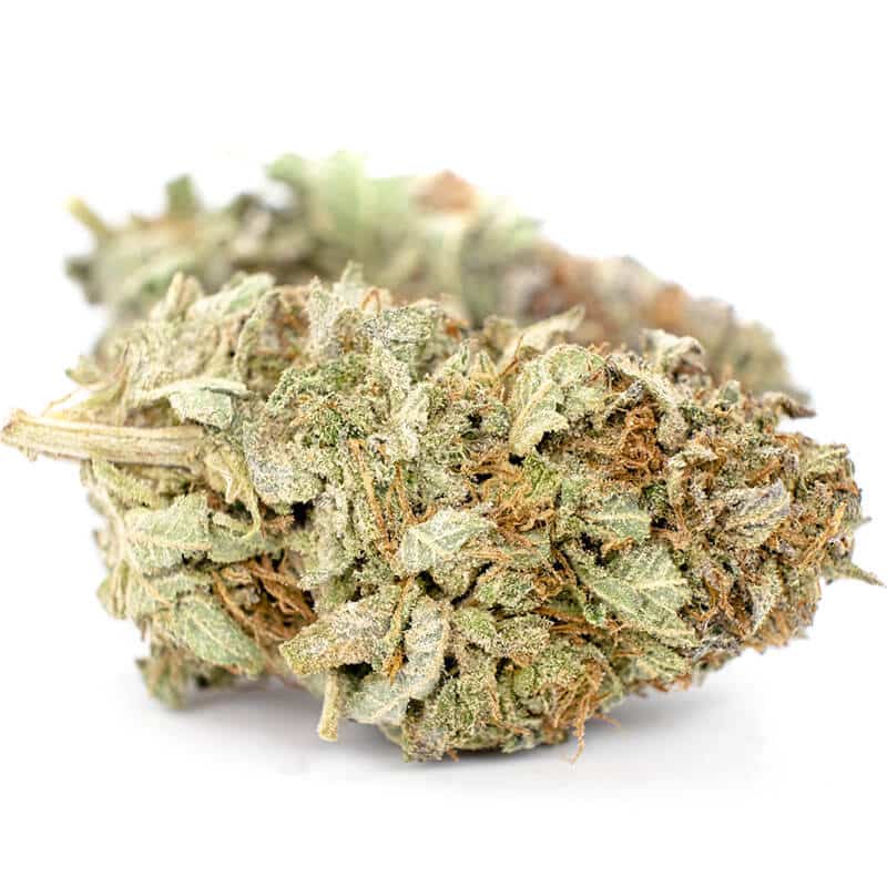 Granddaddy Purple Strain