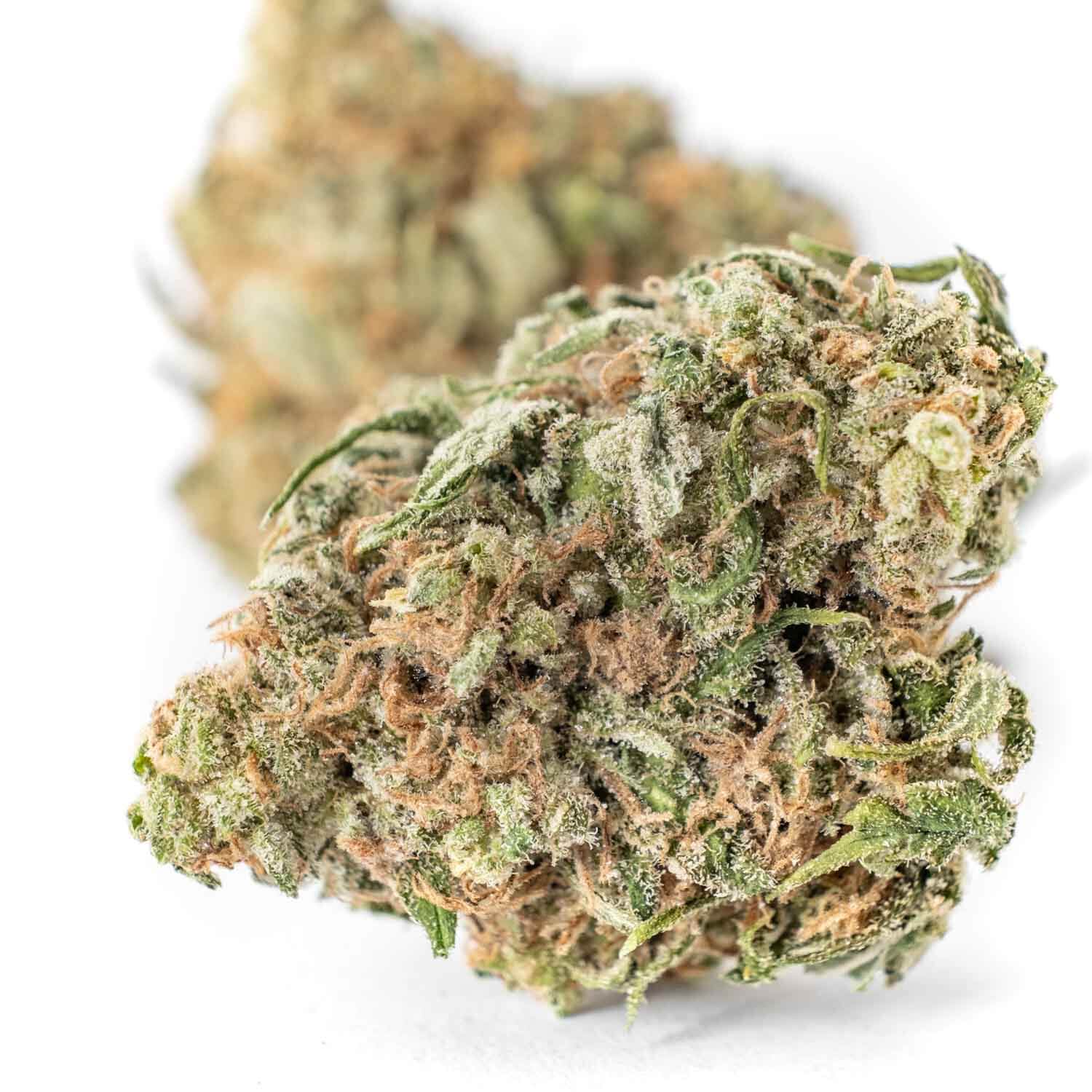 Super Boof Strain