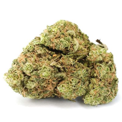 Amnesia Haze strain - Jamaican Sativa