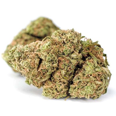 Premium Amnesia Haze marijuana strain