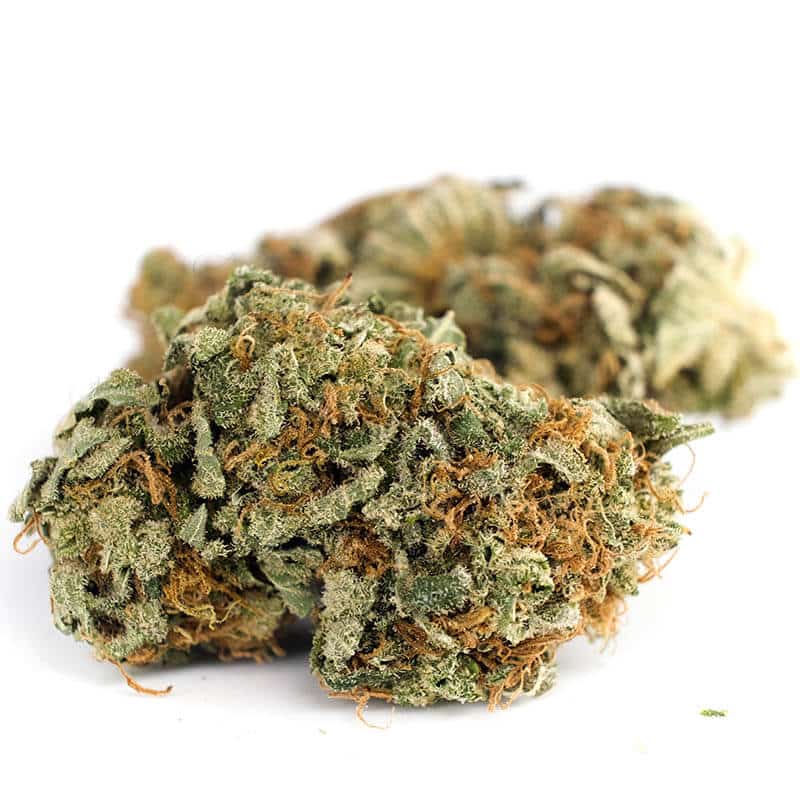Haze Strain