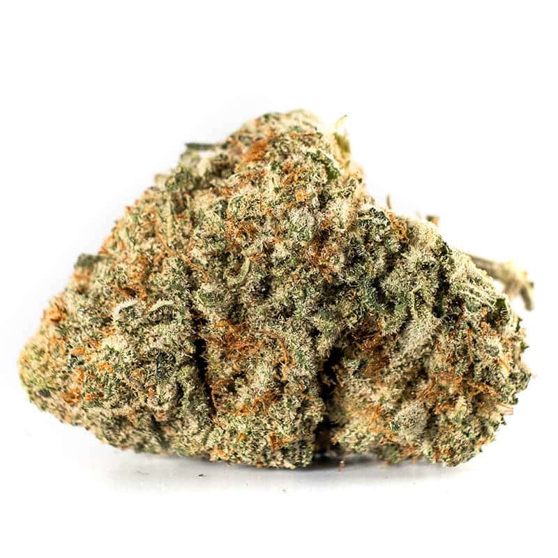Stardawg Strain
