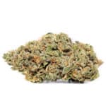 Gorilla Bomb