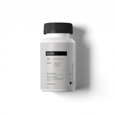 Microdosing Mushroom Capsules Instruction