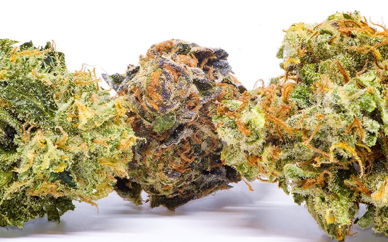 Best Weed Strains