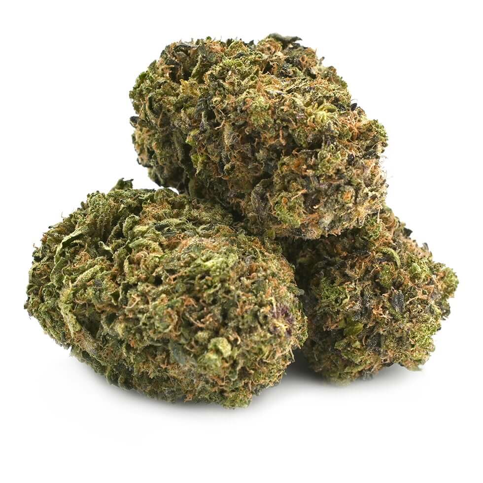 Purple Punch Strain