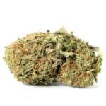 Juicy Fruit