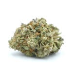 Hindu Kush