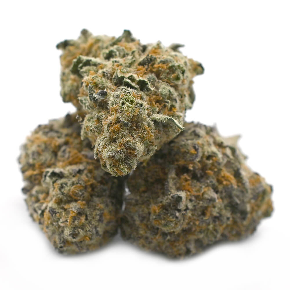 Gelato 41 Strain