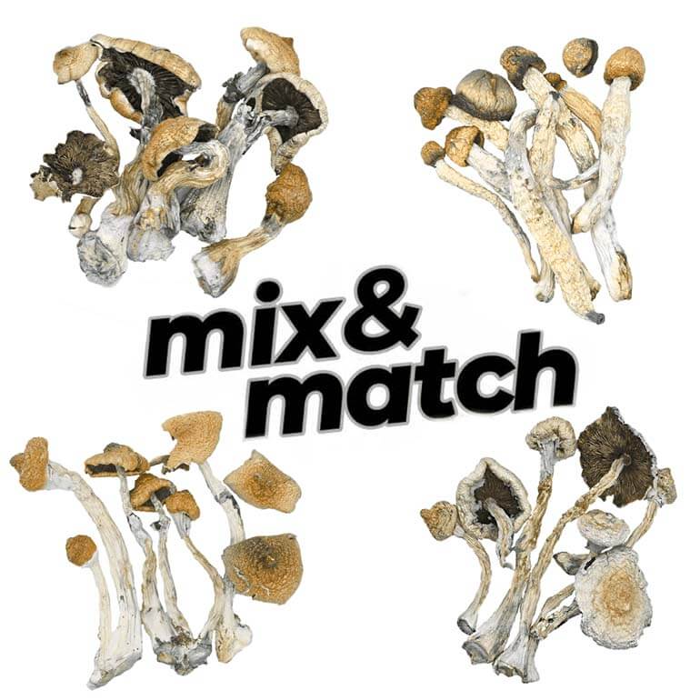 1 Ounce Mix and Match - Shrooms