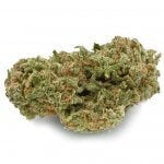 Nuken