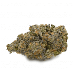 Jungle Cake