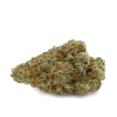 Mandarin Sunset - Balanced Hybrid