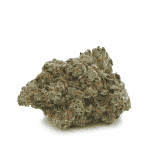 Purple Berry Skunk