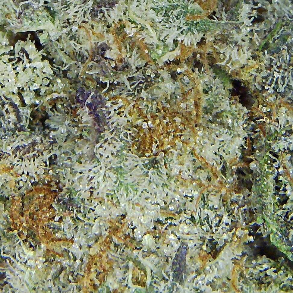 Snowcap Popeye's Ganja Bags - High-Quality Marijuana Products