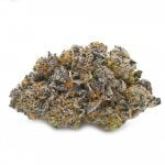 Grease Monkey