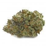 G13
