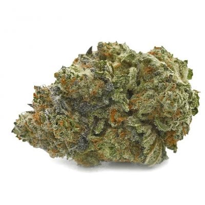 G13 - Indica-dominant hybrid