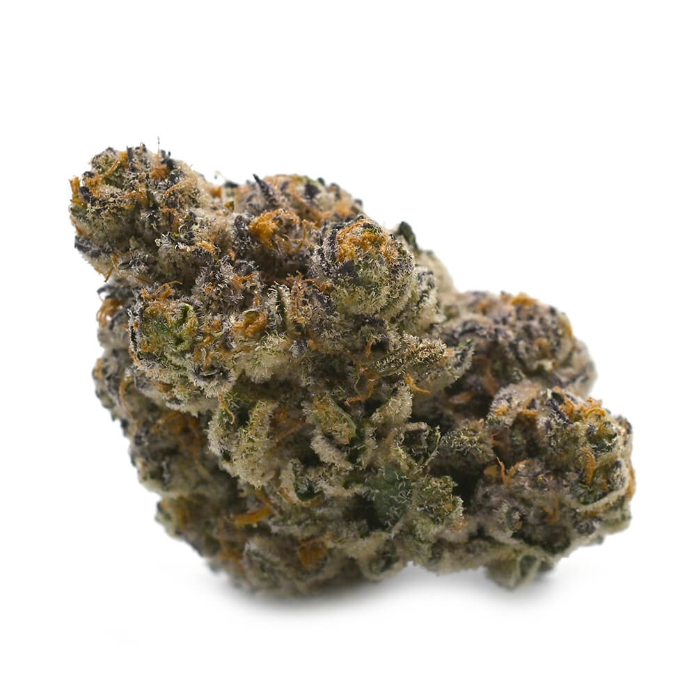 Black Cherry Punch - Thunder Buddies