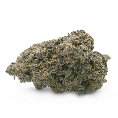 Runtz - Balanced Hybrid strain