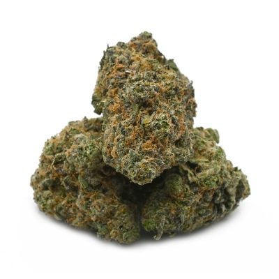 Gelato Runtz hybrid cannabis strain - vibrant green and purple buds