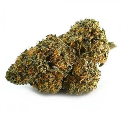 Cement Shoes - Indica Dominant Hybrid