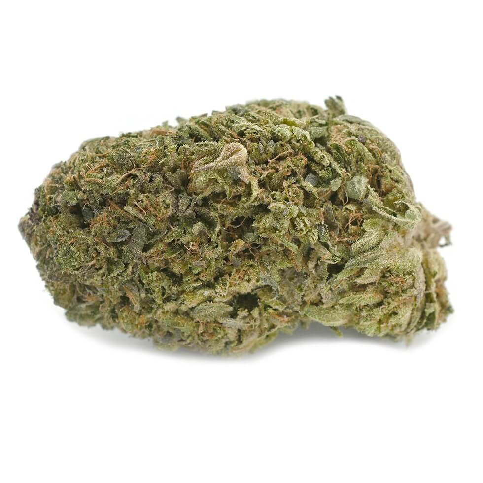 Northern Lights Strain