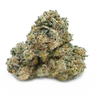 MAC 4 Thunder Buddies Cannabis Strain