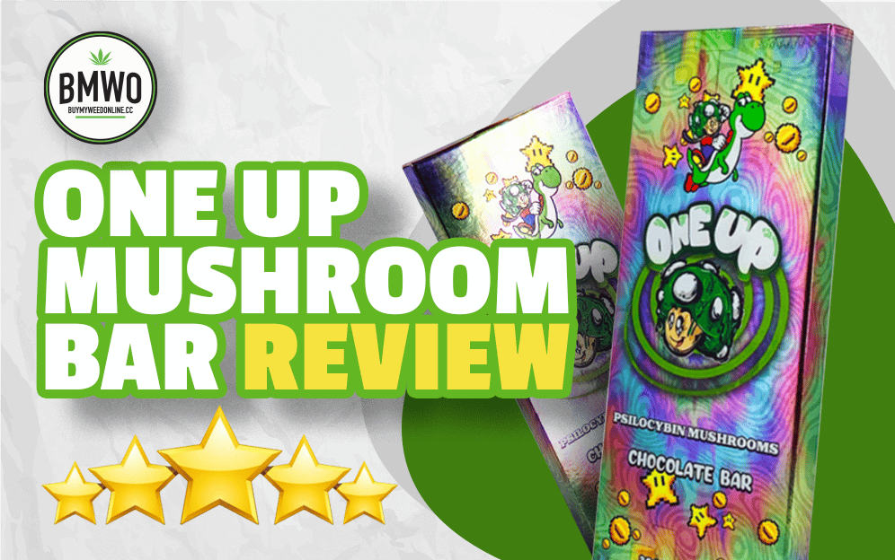 one up mushroom bar
