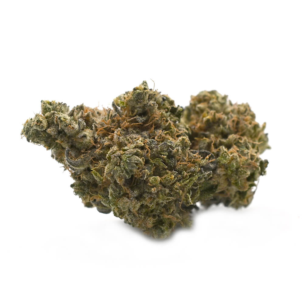 Old School Moroccan Hash - Sativa Dominant Hybrid