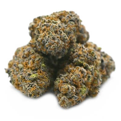 Bubba Gump - pure indica strain