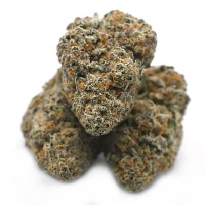 High Octane cannabis strain - premium quality buds