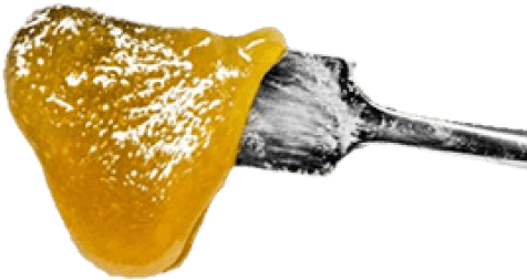 shop all resin