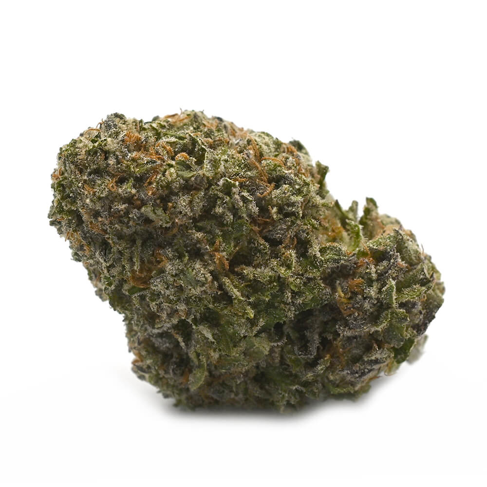 Georgia Pie Strain