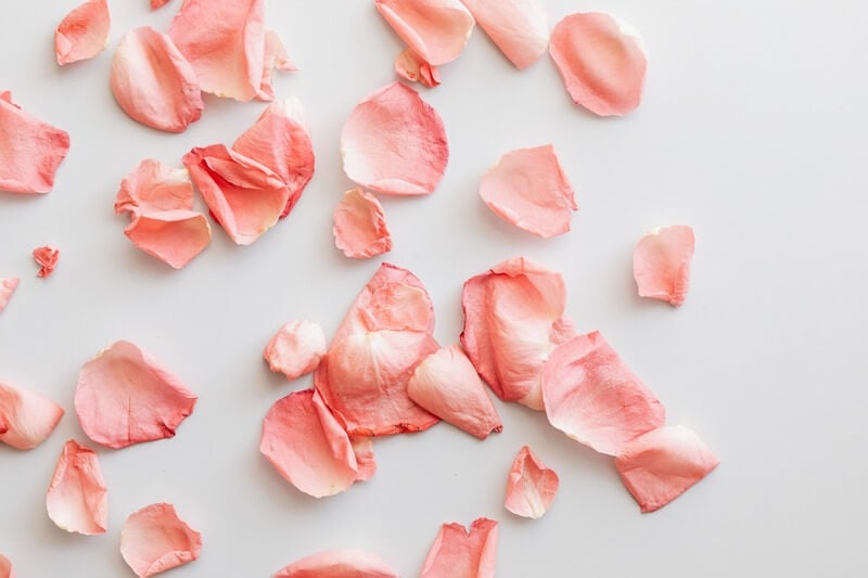 Can You Smoke Rose Petals