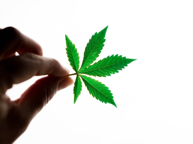 Can You Smoke Weed Leaves
