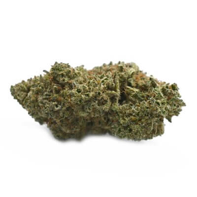 Dolato- Popeyes Ganja Bags
