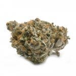 Raspberry Thin Mint