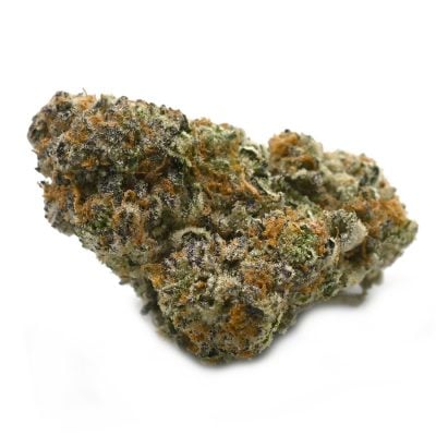 Pavé Strain - Thunder Buddies