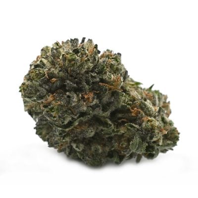 Ice Wreck strain - balanced hybrid
