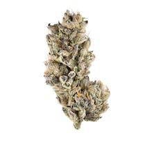 Black Cherry Punch Strain