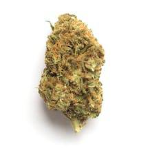 Bubble Gum Strain