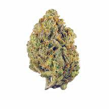 El Chapo Strain