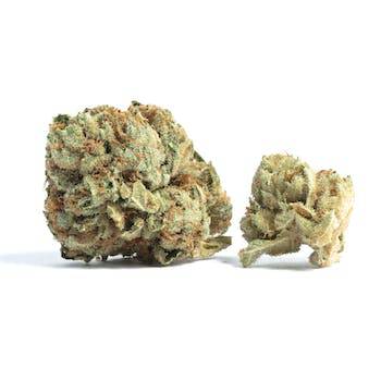 high octane strain