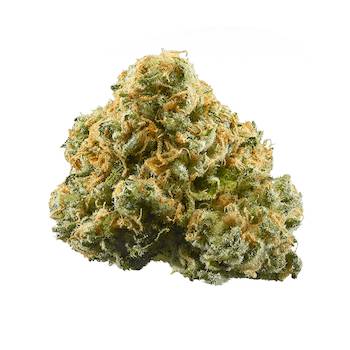 Pink Panther Strain